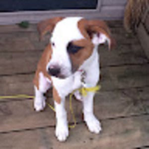 Meet your Posher, Liz